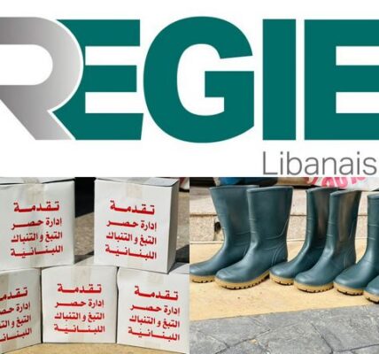 مساعدات عينية من “الريجي” لمزارعين جنوبيين باشروا في تشتيل حقولهم فور عودتهم إلى بلداتهم