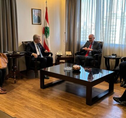 وزير الصناعة يبحث تعزيز التبادل التجاري مع ألمانيا وماليزيا